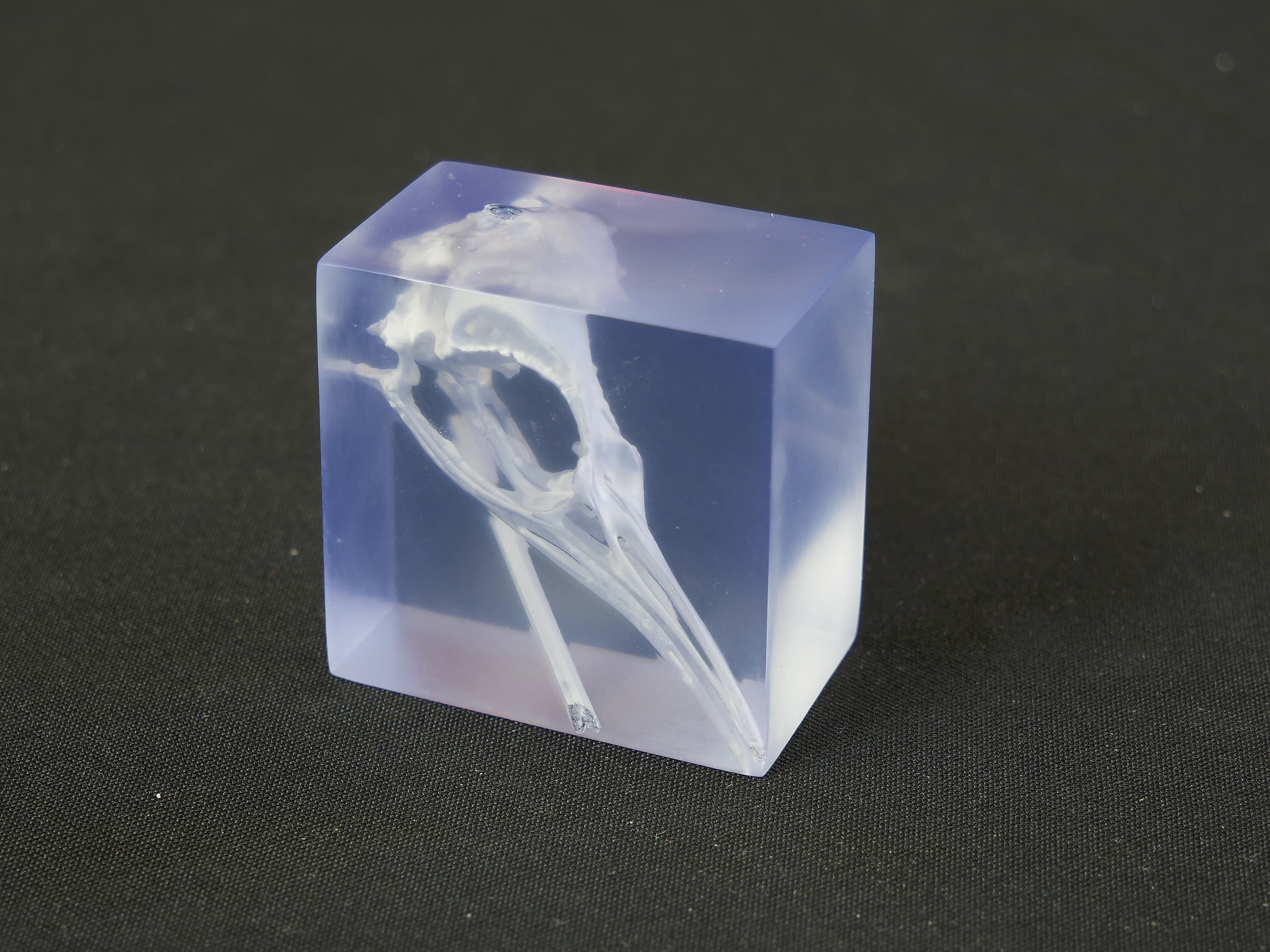 Nix 3D-druckt optisch transparente, funktionale Lichtleiter